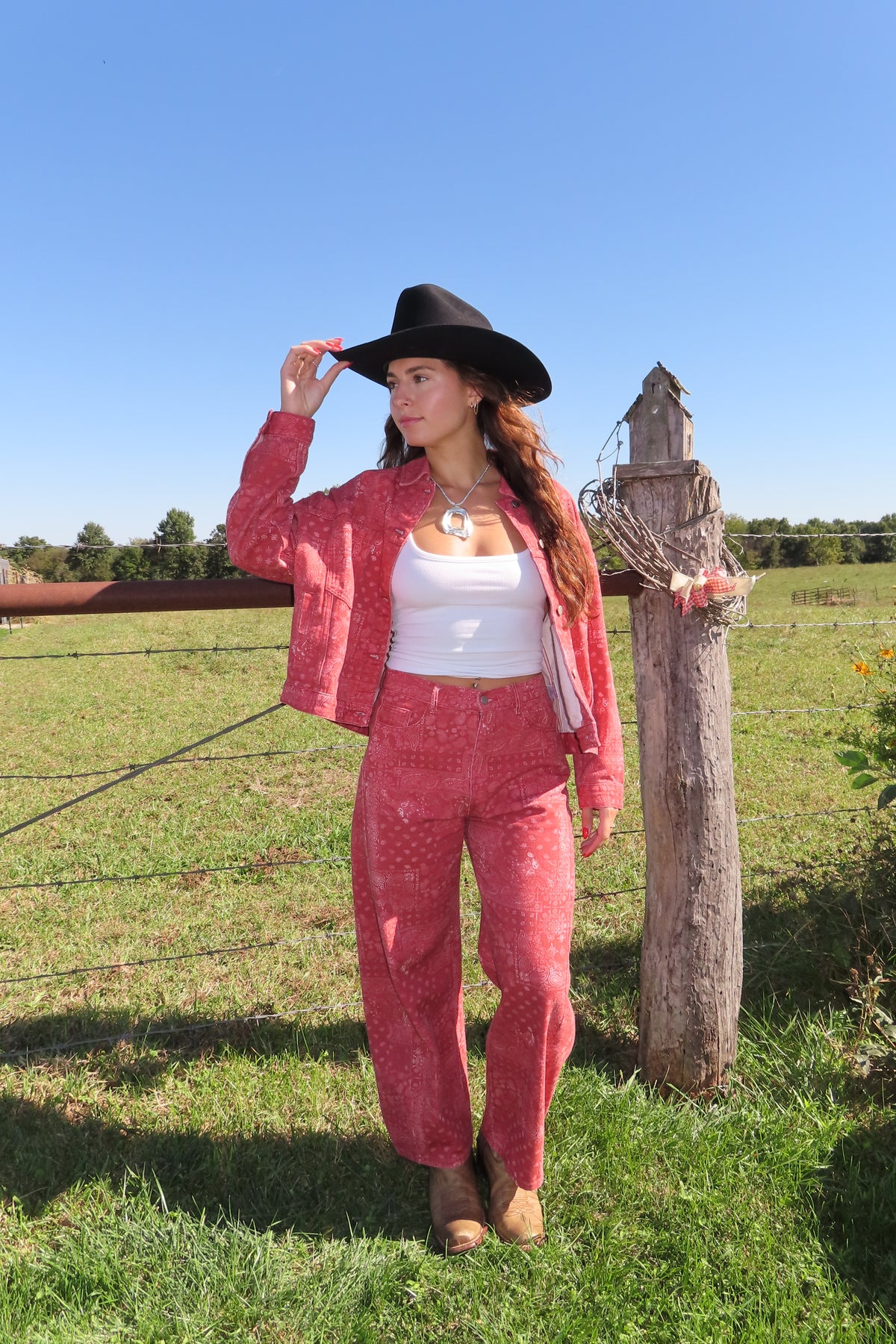 Outlaw Paisley Denim Pants