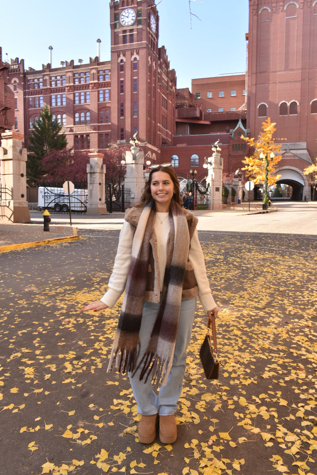 Chestnuts Roasting Fur Vest